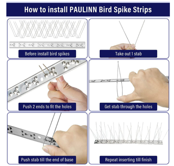Best Selling Stainless Steel Anti-Corrosion Anti Pigeons Bird Spikes Effective for Balcony Roof Fence - Image 4