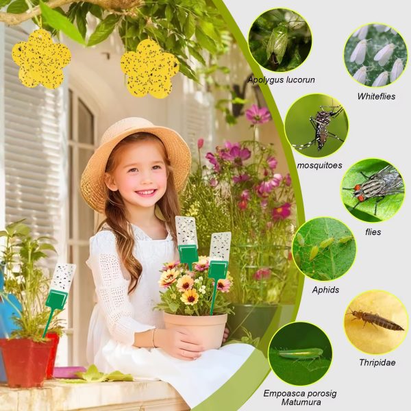 New Designing Practical Powerful Double-Sided Fly Glue Sticky Trap Fly Mosquito Killer Trap for Outdoor - Image 5